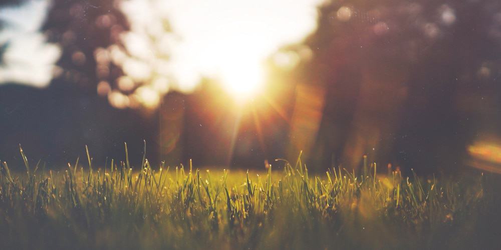 Generators for summer events